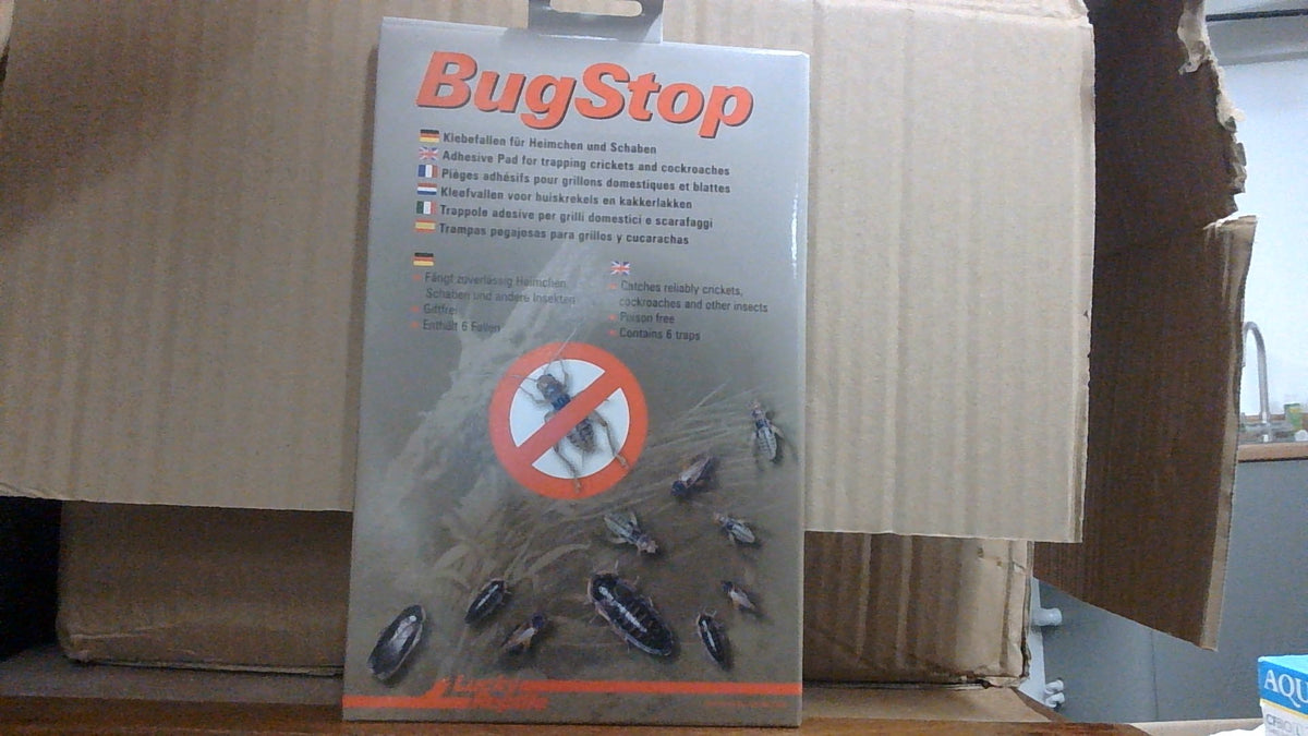 LR Bugstop Cricket Trap (6 Pack)