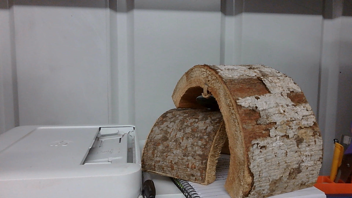 PR Wooden Hide Desert Medium 15cm