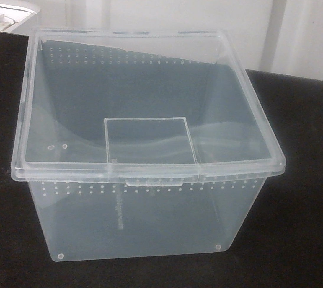 PL Square Container W/Flip Lid 24oz