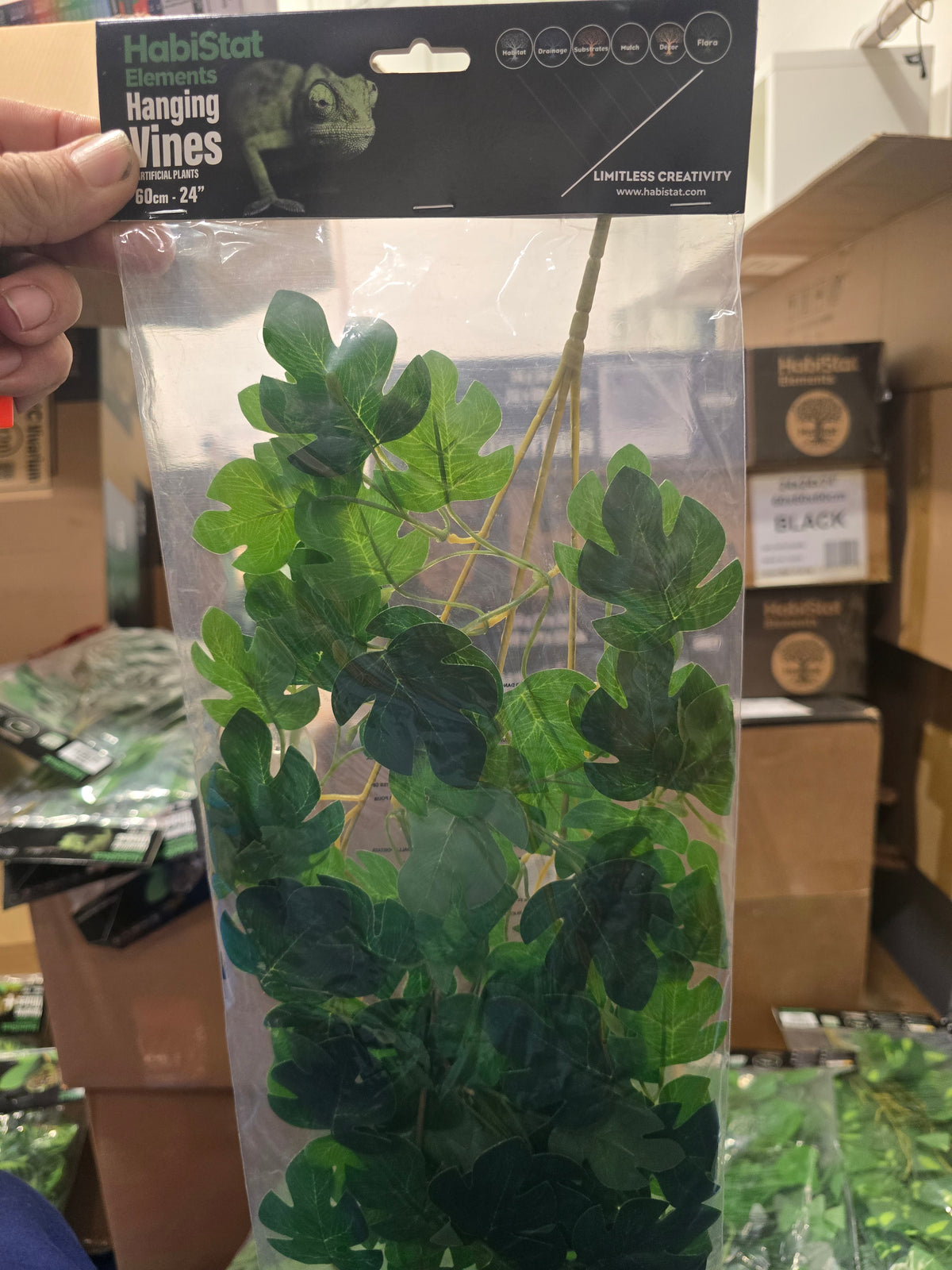 Habistat Hanging Plant Hyphosis 60cm