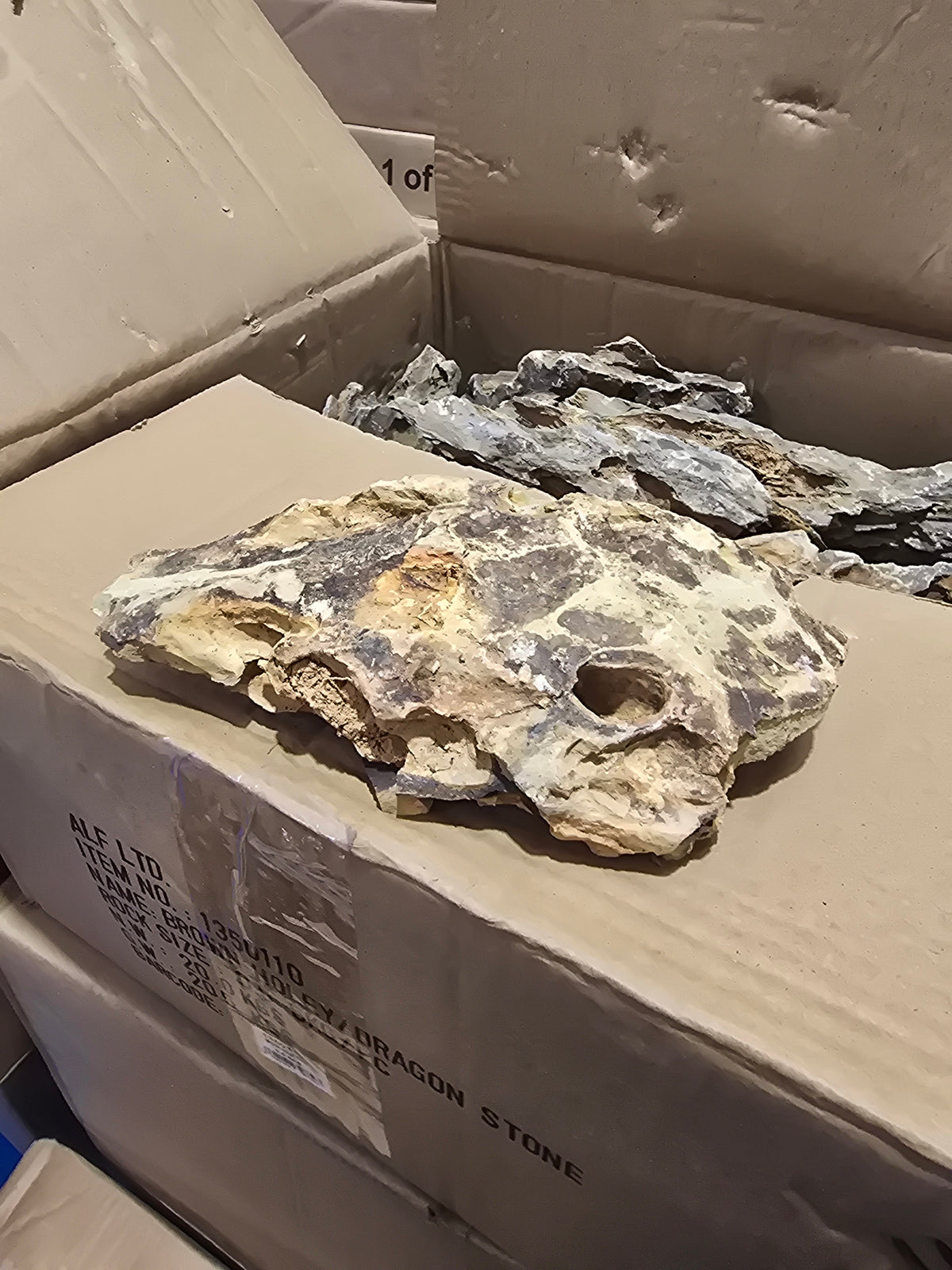 Dragon Stone per kg