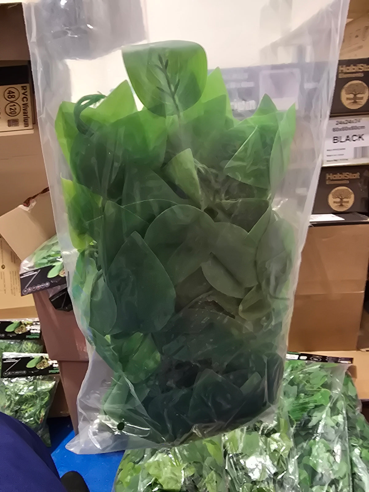 Habistat Hanging Vine Forever Green 100cm