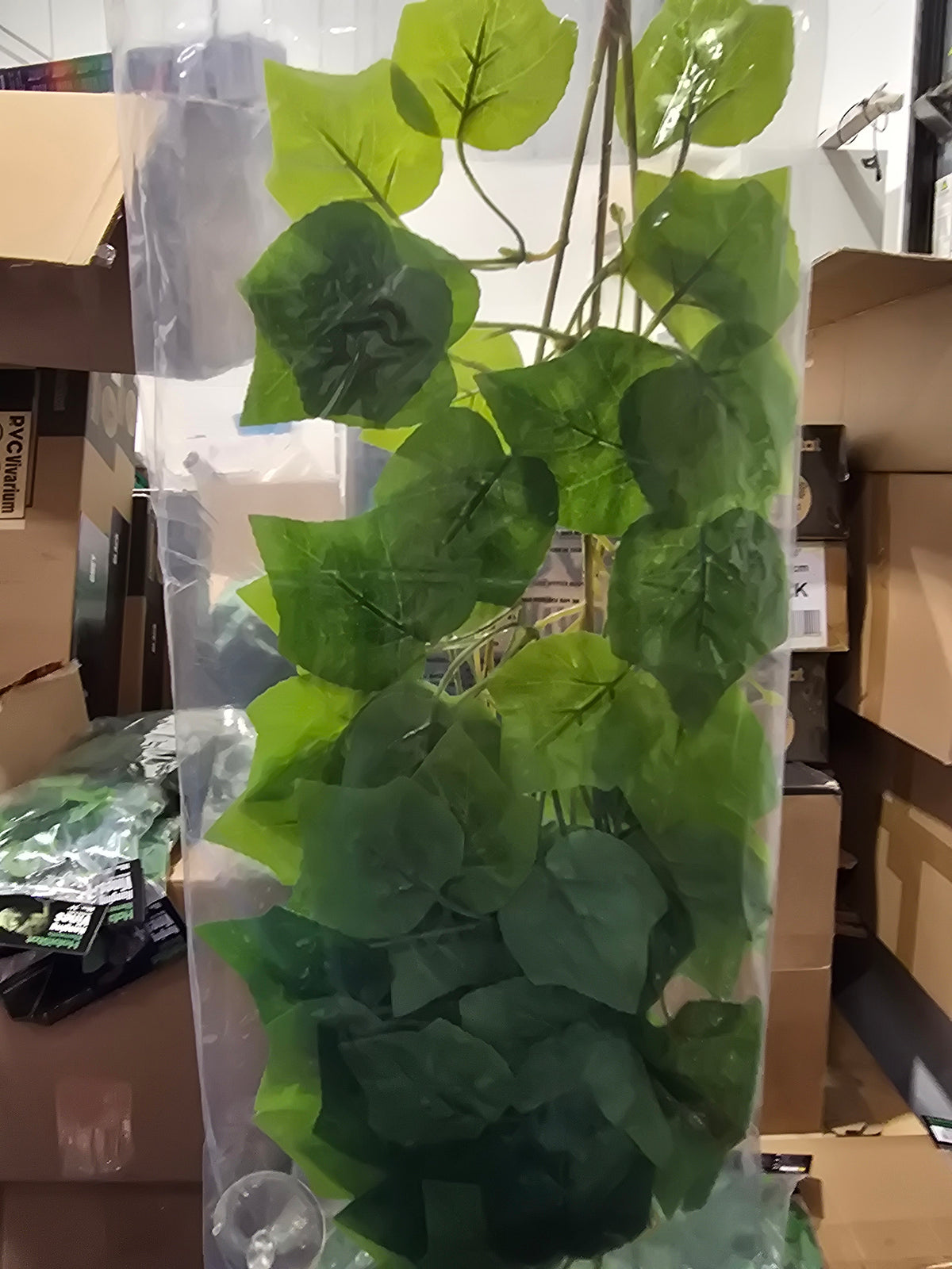 Habistat Hanging Vine Greenery Grape 60cm