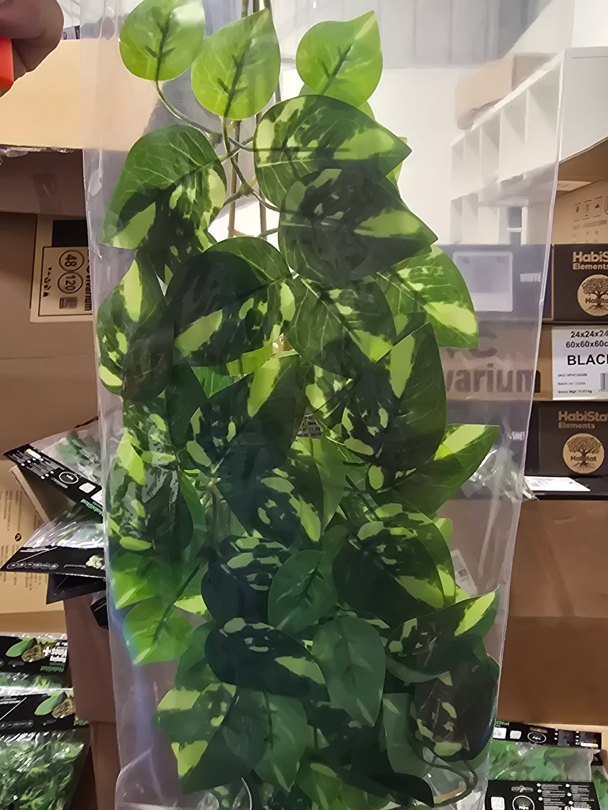 Habistat Hanging Vine Forever Green 60cm
