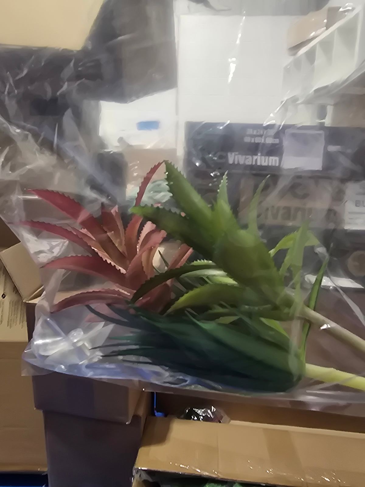 Habistat Artificial  Plant 3 Pack Succulent