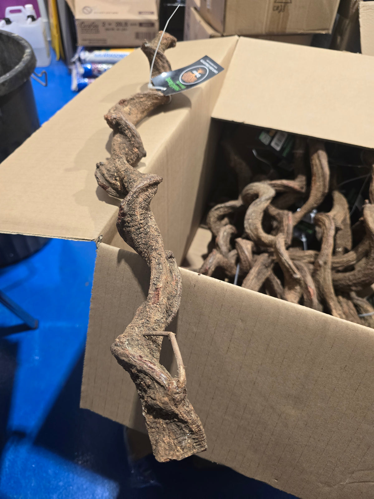 Habistat Liana Vine Medium