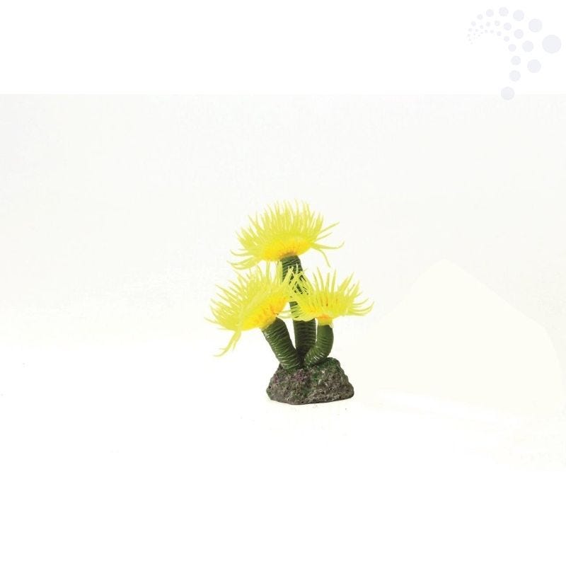 Natureform coral feather duster yellow sebellastarte sp
