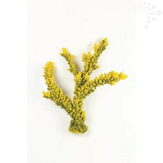 Natureform coral staghorn branch yellow/green acropora