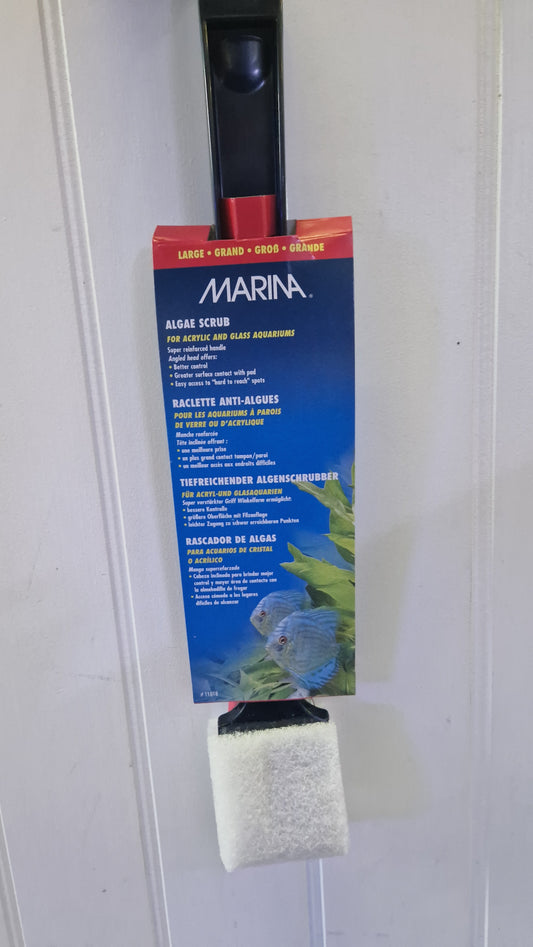 Marina algae scrub large
