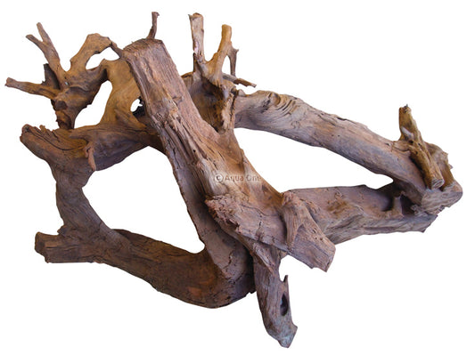 Mangrove root XXL (90-145cm)
