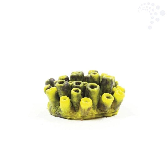 Natureform coral mini tube sponge yellow/purple theonella sp