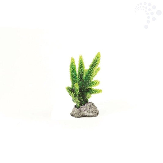 Natureform coral staghorn green acropora sp
