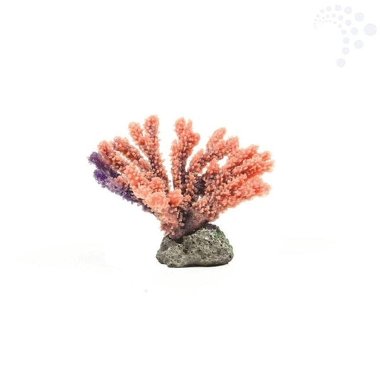 Natureform coral staghorn purple acropora sp