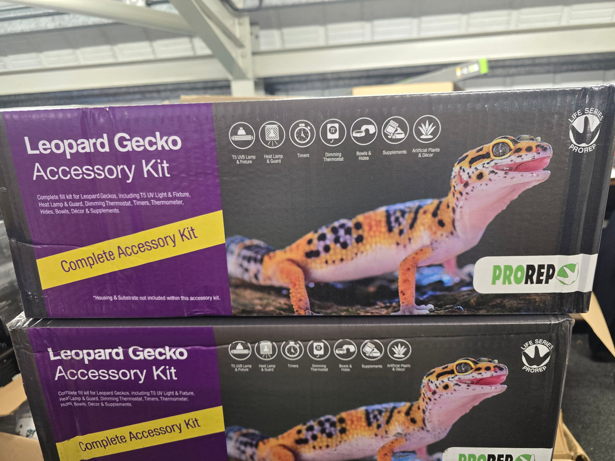 PR leopard gecko accessory kit