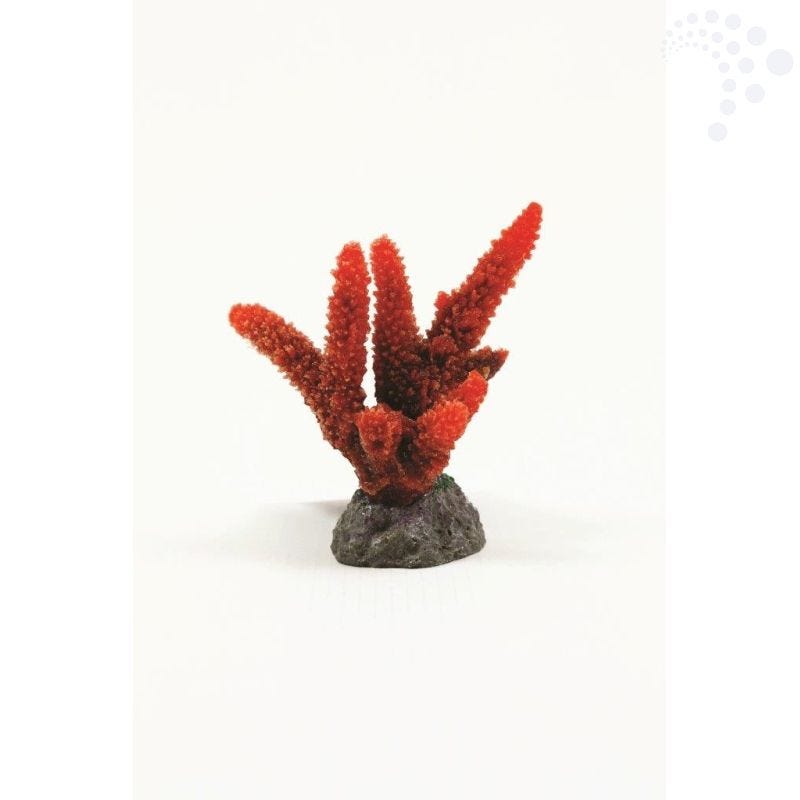 Natureform coral staghorn red acropora sp sml